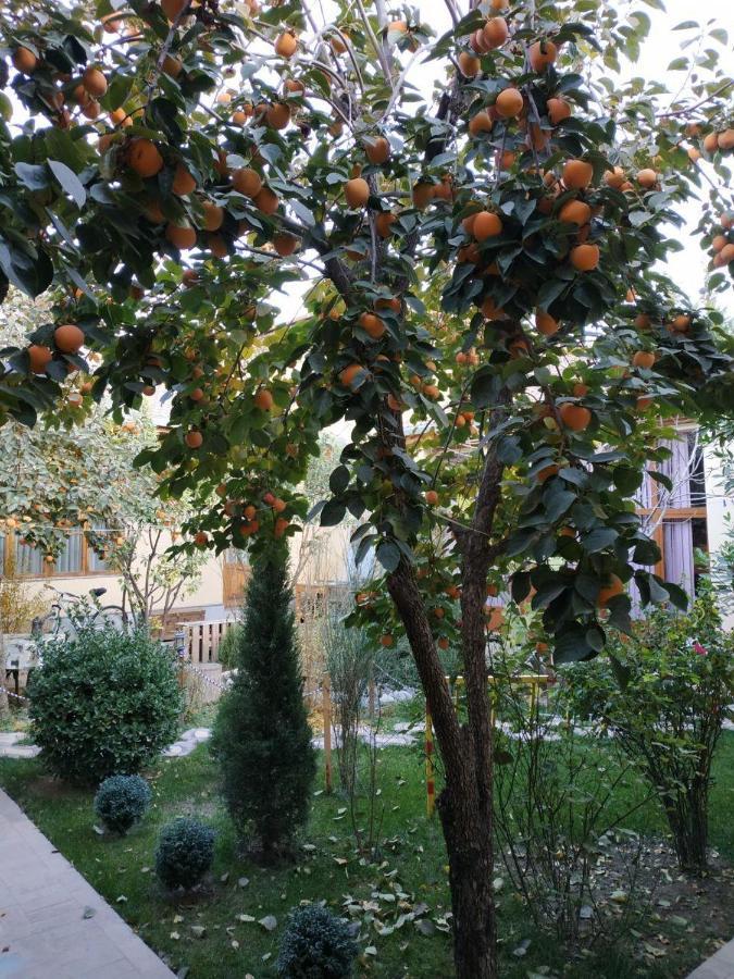 Sim Sim Hostel & Guest House Near The Church Samarkand Exterior foto